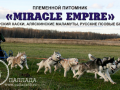 Miracle Empire